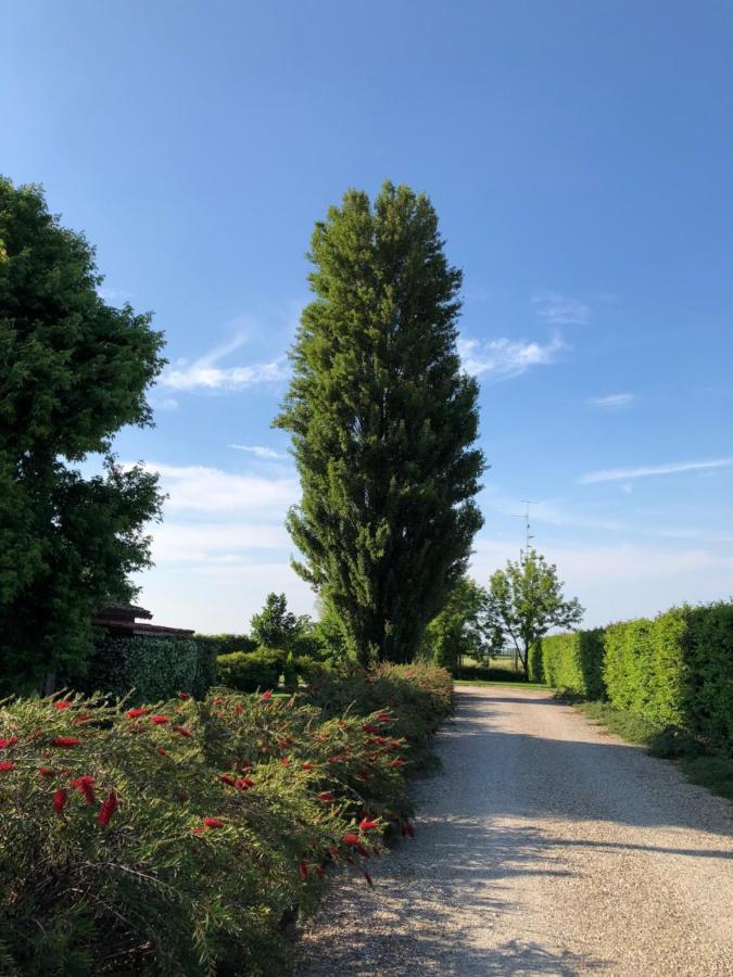 Bed and Breakfast Via D' Este 8 Gualtieri Exteriér fotografie